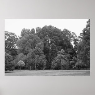 Bomen in Bute Park, Cardiff - BW Poster