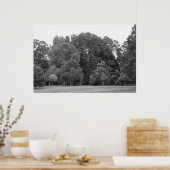 Bomen in Bute Park, Cardiff - BW Poster (Keuken)