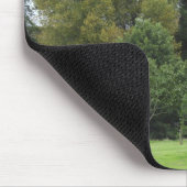 Bomen in Bute Park, Cardiff Muismat (Hoek)