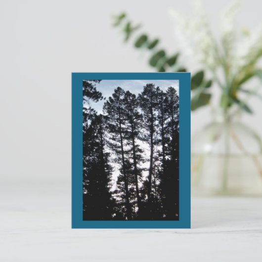 Bomen in CO-bergen Briefkaart (Staand voorkant)