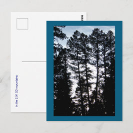 Bomen in CO-bergen Briefkaart