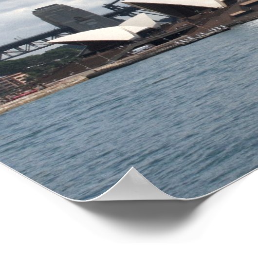 bomen in de haven van sydney poster (Hoek)