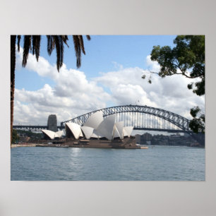 bomen in de haven van sydney poster