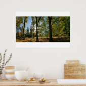Bomen in de herfst poster (Keuken)