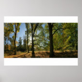 Bomen in de herfst poster (Voorkant)