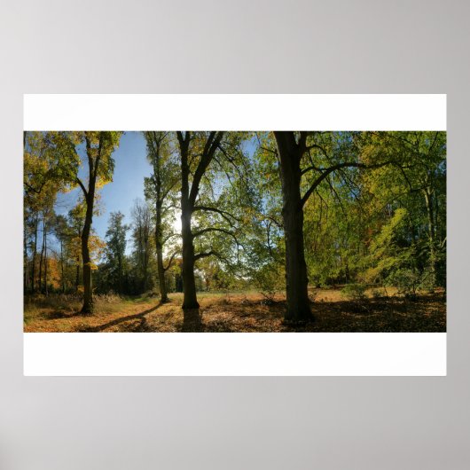 Bomen in de herfst poster (Voorkant)