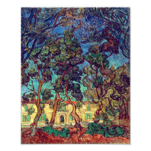 Bomen in de Hospital Garden   Van Gogh   Foto Afdruk