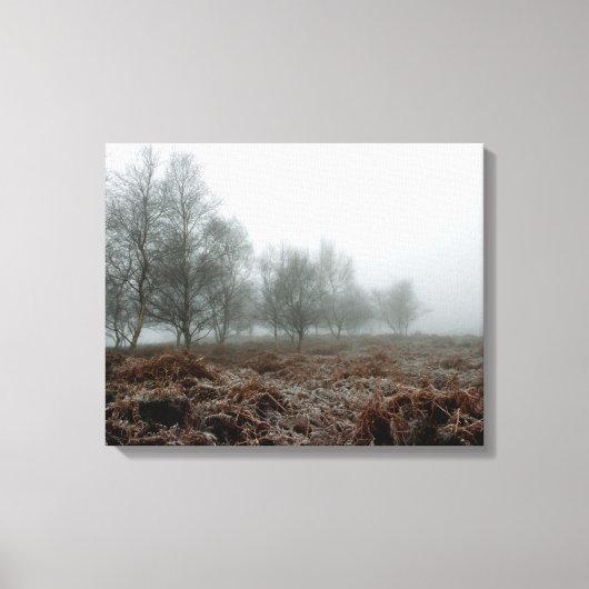 Bomen in de mist canvas afdruk (Voorkant)