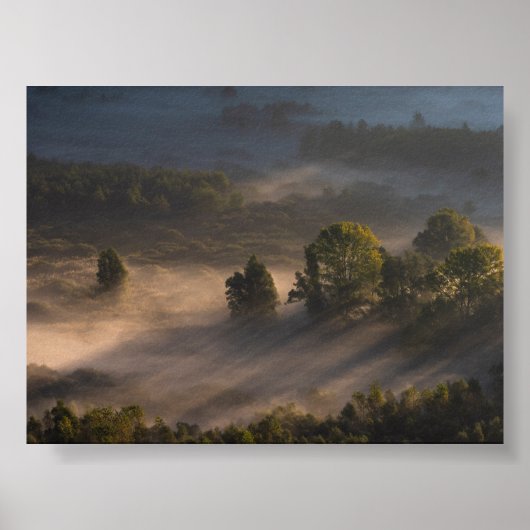 Bomen in de ochtendnevel poster (Voorkant)