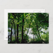 Bomen in de rivier briefkaart (Voorkant / Achterkant)