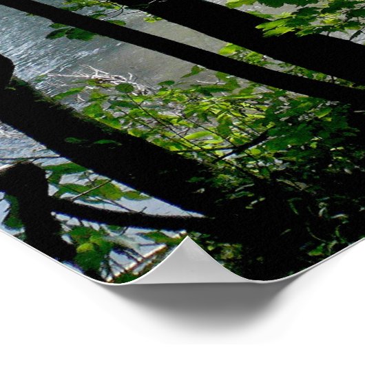 Bomen in de rivier poster (Hoek)
