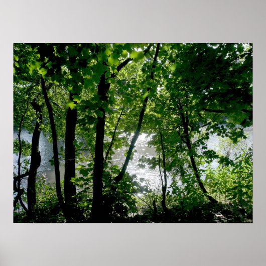 Bomen in de rivier poster (Voorkant)