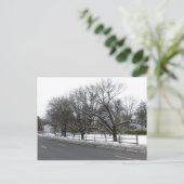 Bomen in de sneeuw briefkaart (Staand voorkant)