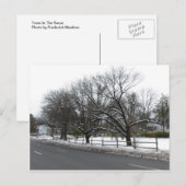 Bomen in de sneeuw briefkaart (Voorkant / Achterkant)
