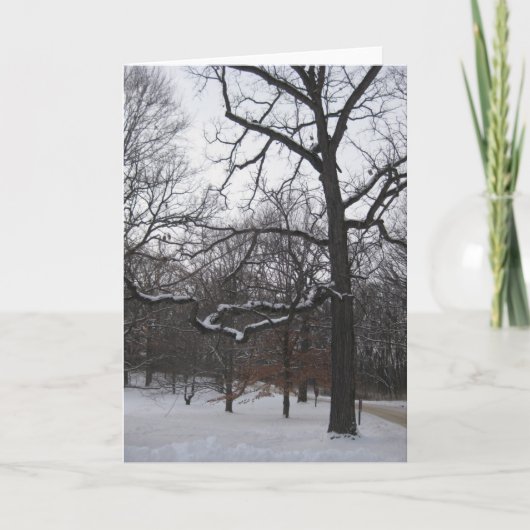 Bomen in de sneeuw I Feestdagen Kaart (Voorkant)