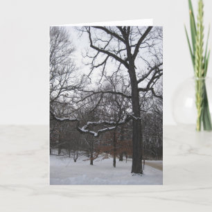 Bomen in de sneeuw I Feestdagen Kaart