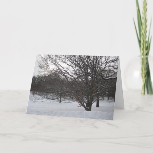 Bomen in de sneeuw II Feestdagen Kaart (Voorkant)