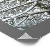Bomen in de sneeuwwinterfoto poster (Hoek)