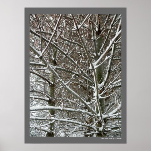 Bomen in de sneeuwwinterfoto poster (Voorkant)