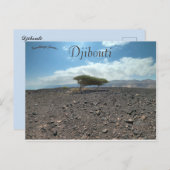 Bomen in de wilde natuur in Djibouti Briefkaart (Voorkant / Achterkant)