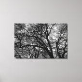Bomen in de winter canvas afdruk (Voorkant)