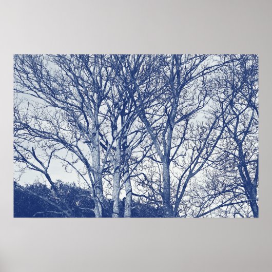Bomen in de winter - cyanotype-effect poster (Voorkant)