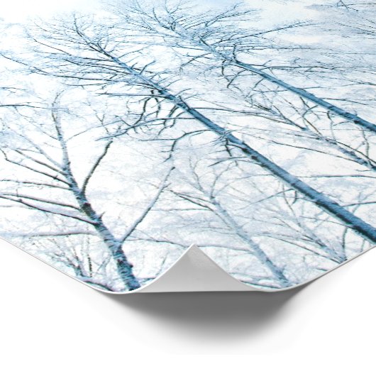 bomen in de winter en de hemel poster (Hoek)