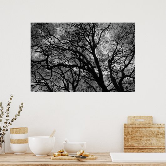 Bomen in de winter poster (Keuken)