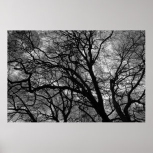 Bomen in de winter poster
