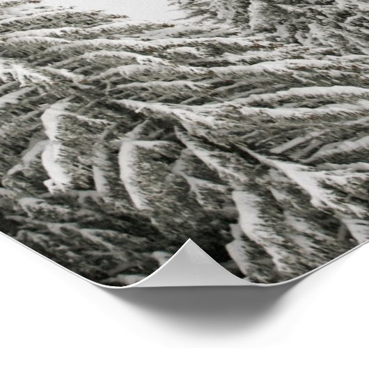 Bomen in de winter poster (Hoek)