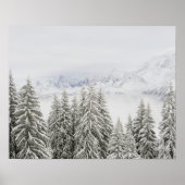 Bomen in de winter poster (Voorkant)