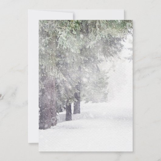 Bomen in de wintervakantie kaart (Achterkant)