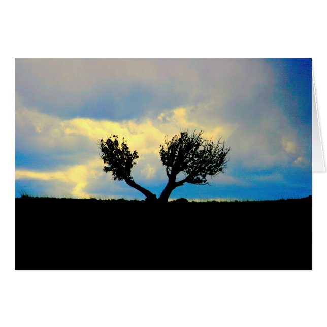 Bomen in de woestijn (Voorkant Horizontaal)