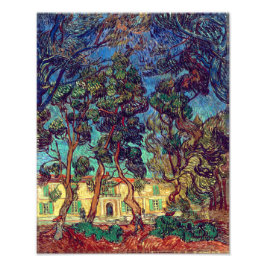 Bomen in de ziekenhuistuin | Van Gogh | Foto Afdruk
