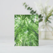 Bomen in een bos van het bodemuitzicht briefkaart (Staand voorkant)