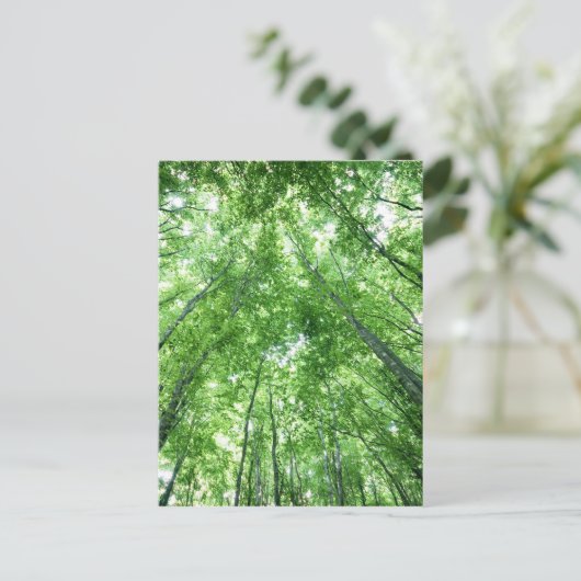 Bomen in een bos van het bodemuitzicht briefkaart (Staand voorkant)