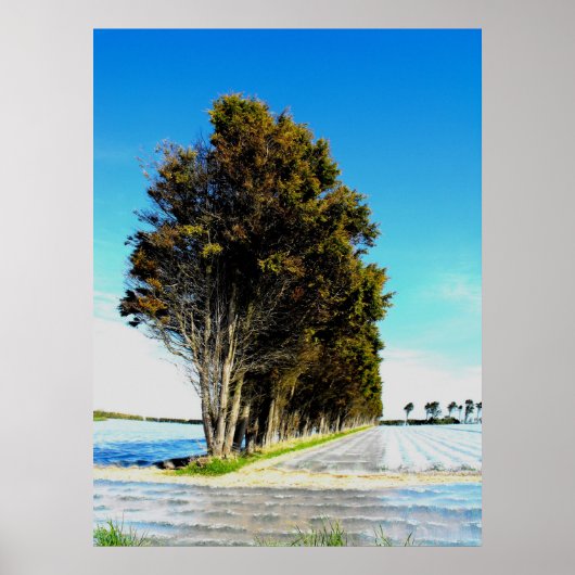 Bomen in een landschap van Jersey Poster (Voorkant)