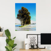 Bomen in een landschap van Jersey Poster (Thuiskantoor)