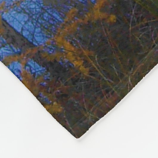 bomen in een meer in een deken van de herfst (Hoek)