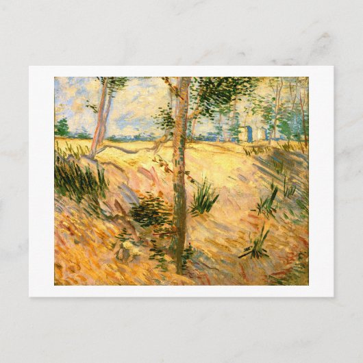 Bomen in een veld op een zonnige dag, Van Gogh Fin Briefkaart (Voorkant)