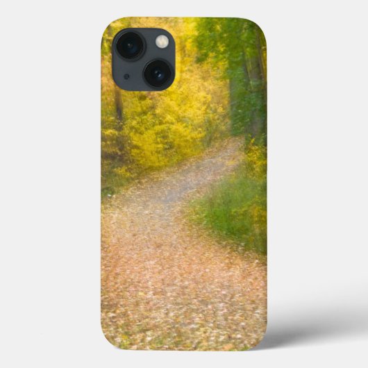 Bomen in herfstkleuren en met leder omgeven Pathwa Case-Mate iPhone Case (Achterkant)