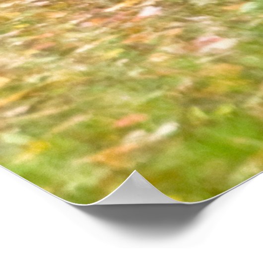 Bomen in herfstkleuren en met leder omgeven Pathwa Poster (Hoek)