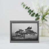 bomen in het briefkaart van de wind (Staand voorkant)