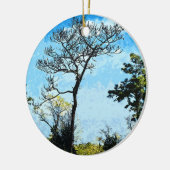 Bomen in het Julington-Durbin-reservaat Florida Keramisch Ornament (Links)