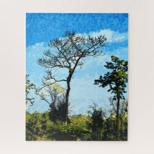 Bomen in het Julington-Durbin-reservaat Florida Legpuzzel