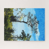 Bomen in het Julington-Durbin-reservaat Florida Legpuzzel (Horizontaal)
