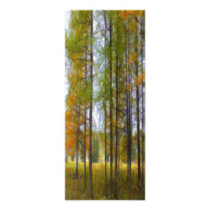 Bomen in het najaar foto afdruk