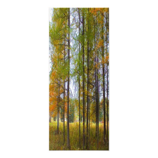 Bomen in het najaar foto afdruk (Voorkant)