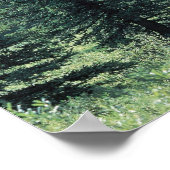 Bomen in het nationaal park Glacier, Montana Poster (Hoek)