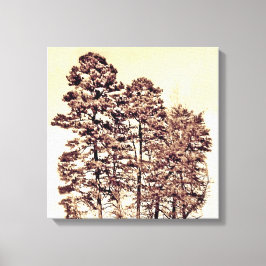 Bomen in het zonlicht canvas afdruk